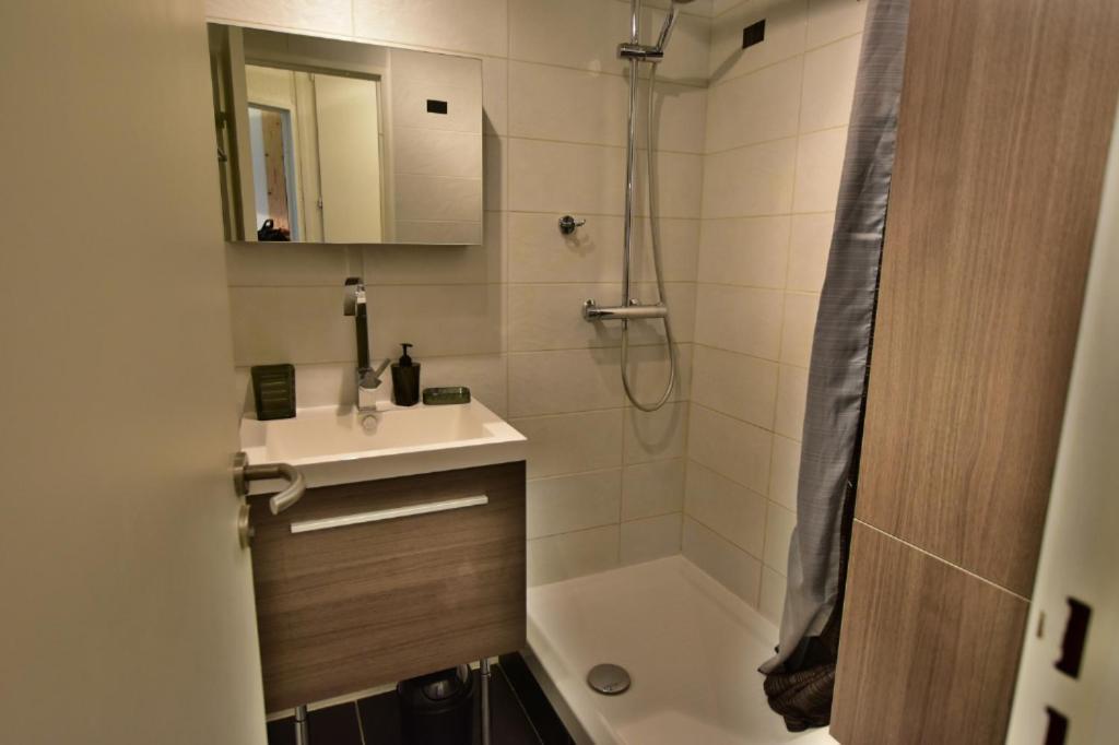 Chamonix Centre"Residence Les Jonquilles2" エクステリア 写真